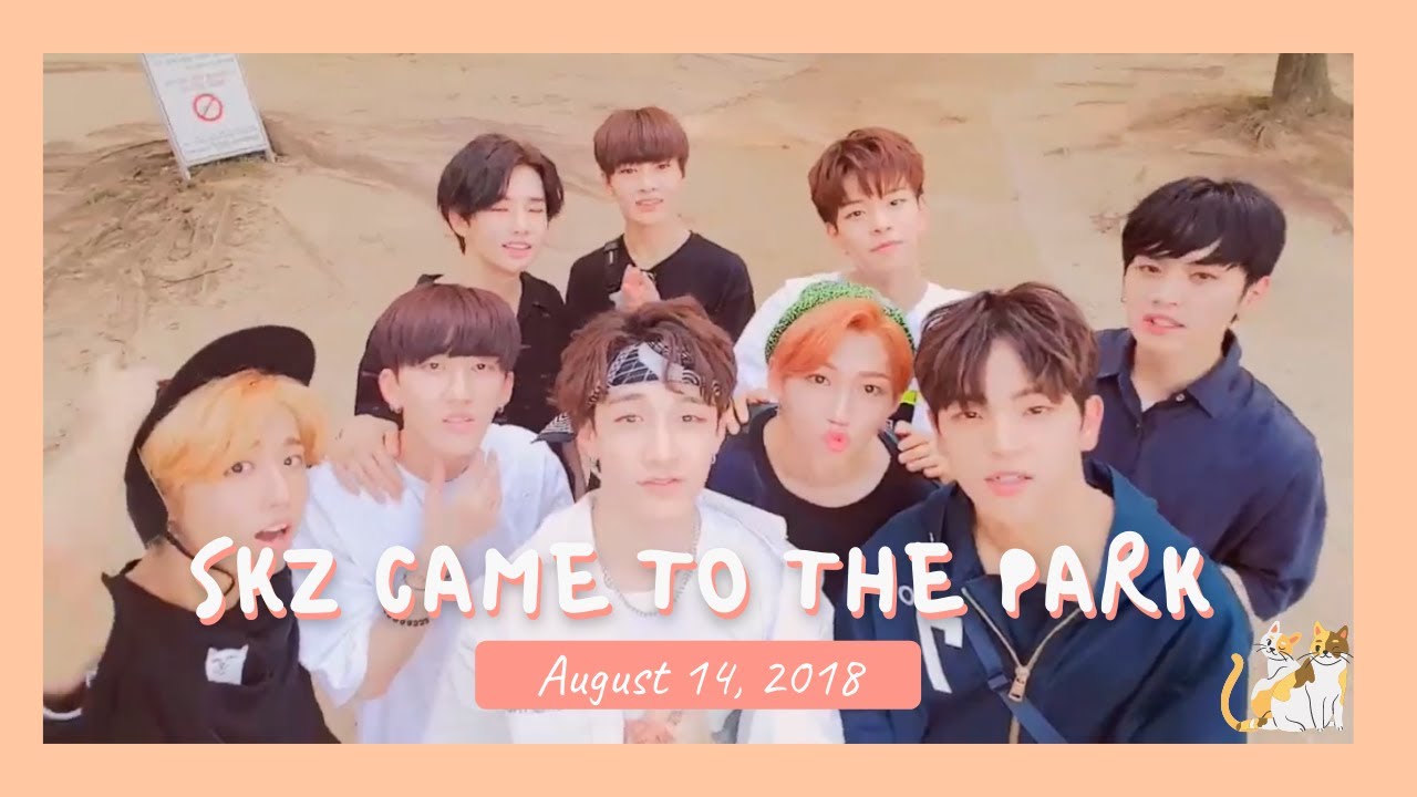 [Older Stray Kids Live] 180814 SKZ came to the park