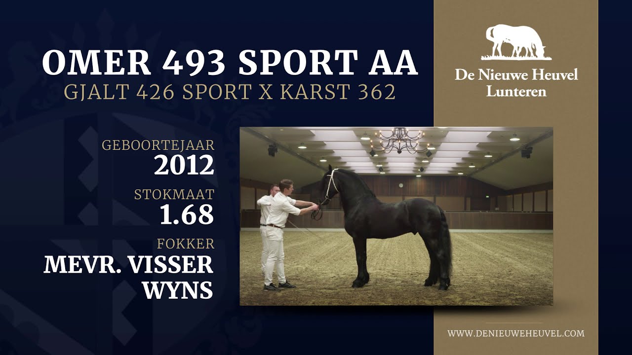 Omer 493 Sport AA