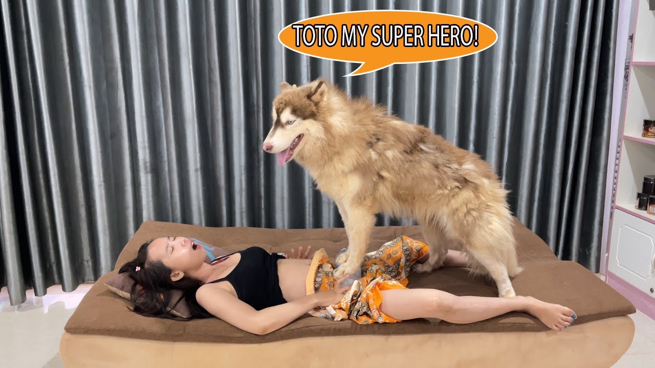 OMG!!When Kwan stomach pain again,MY SUPER HERO TOTO fine the way to help