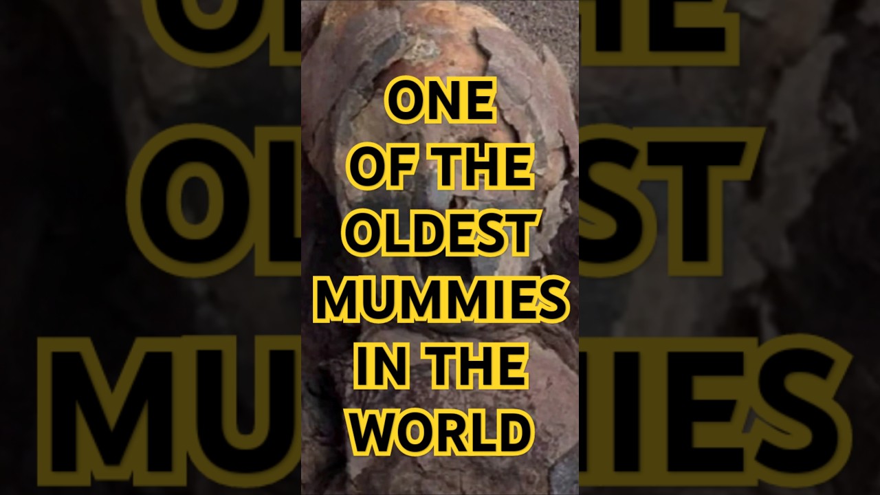 One of the Oldest Mummies in the World – And It’s Not Egyptian! #Chinchorro Mummy #Chile