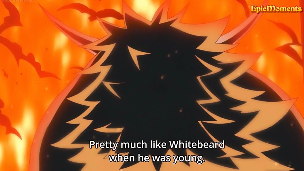 One Piece - WHITEBEARD JR. appears in WANO!
