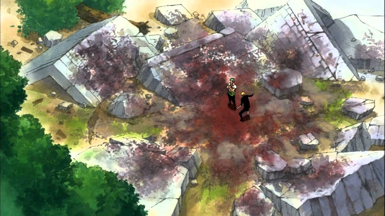 One Piece - Zoro after taking Luffy's pain