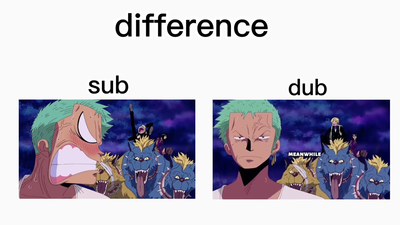 one piece dub Vs sub Zoro funny moments Even the dogs are laughing 💀 #sanji #zoro