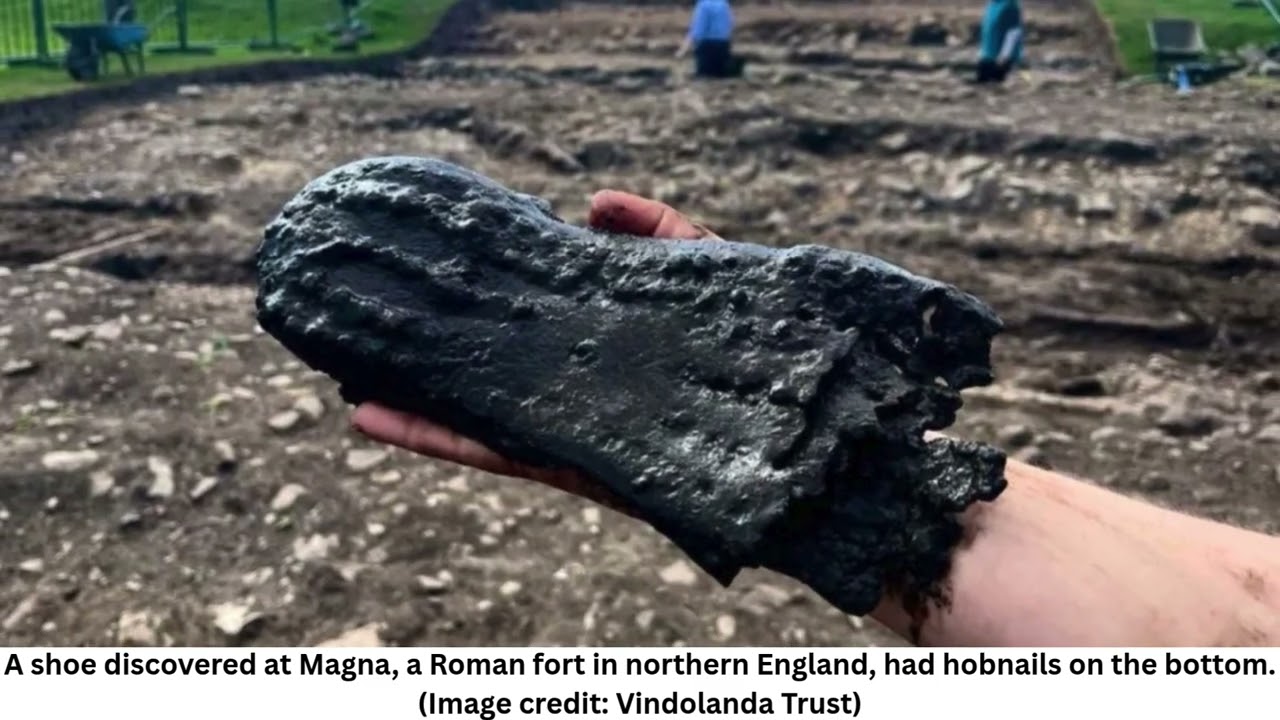 One Roman soldier had enormous feet, 2,000-year-old waterlogged leather shoe reveals