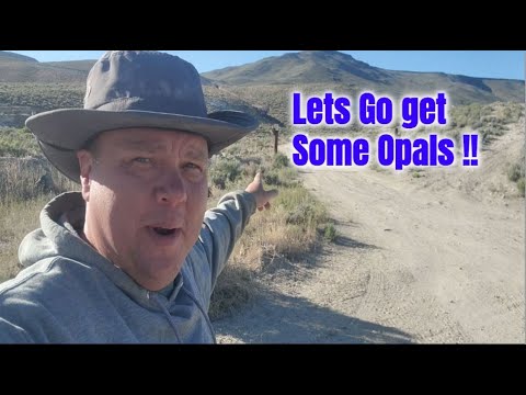 Opal Hunting Adventure at Nevada's Royal Peacock Opal Mine