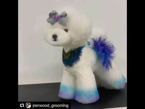 OPAWZ Model Head and Wigs for Creative Dog Grooming