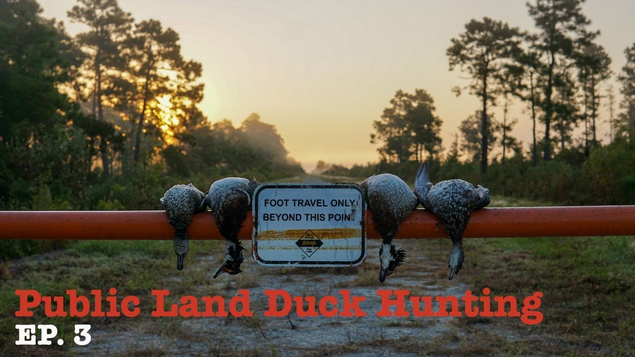 OPENING DAY SOLO LIMIT - Public Pursuit: S2 E3
