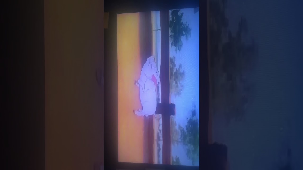 Opening to little bear family tales 1997 vhs