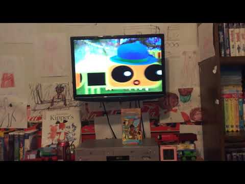 Opening To Little Bear: Friends 1999 VHS