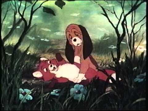 Opening to Peter & the Wolf 1993 VHS