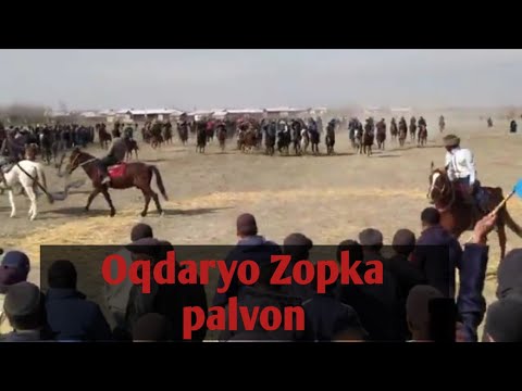 Oqdaryo Zopka palvon