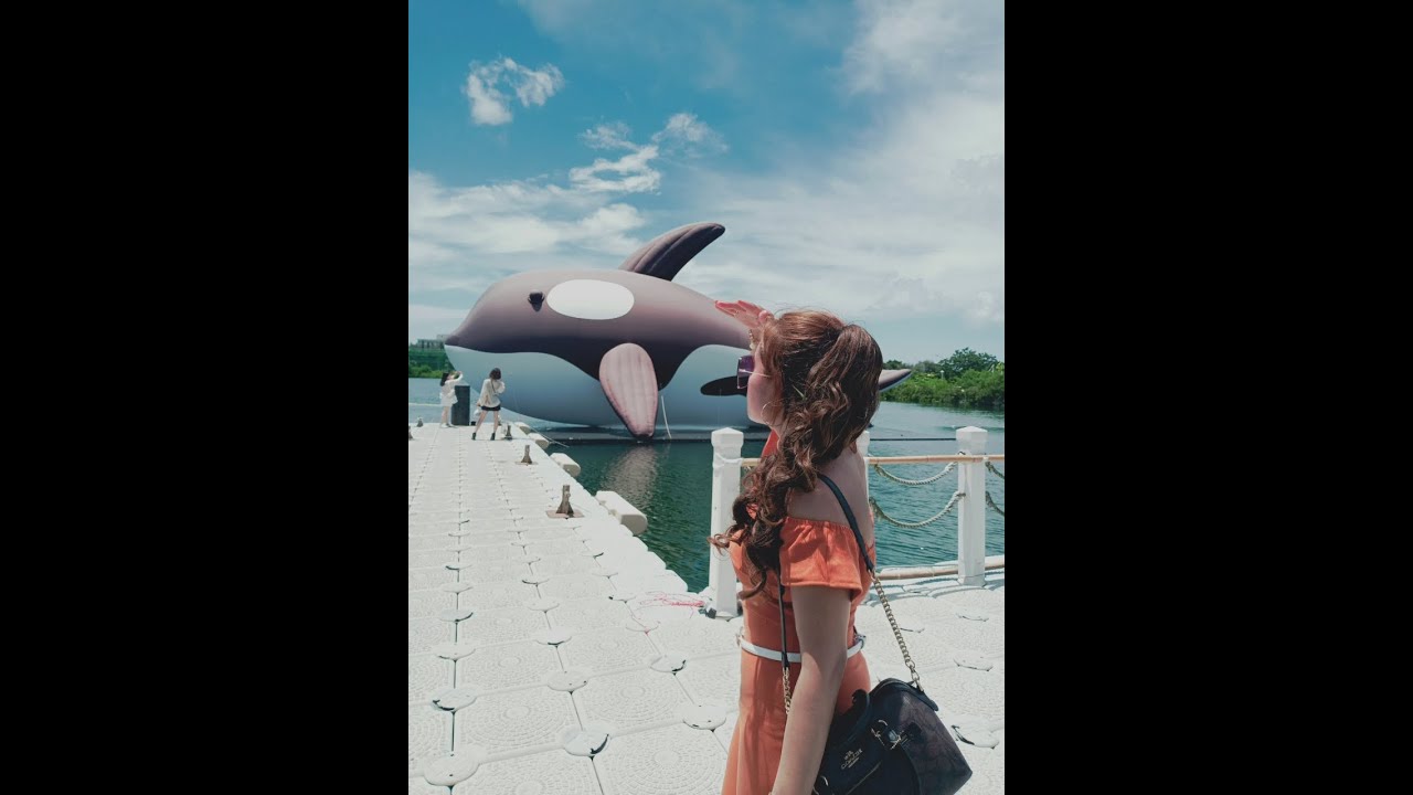 Orca Go 🐬🐳🐋