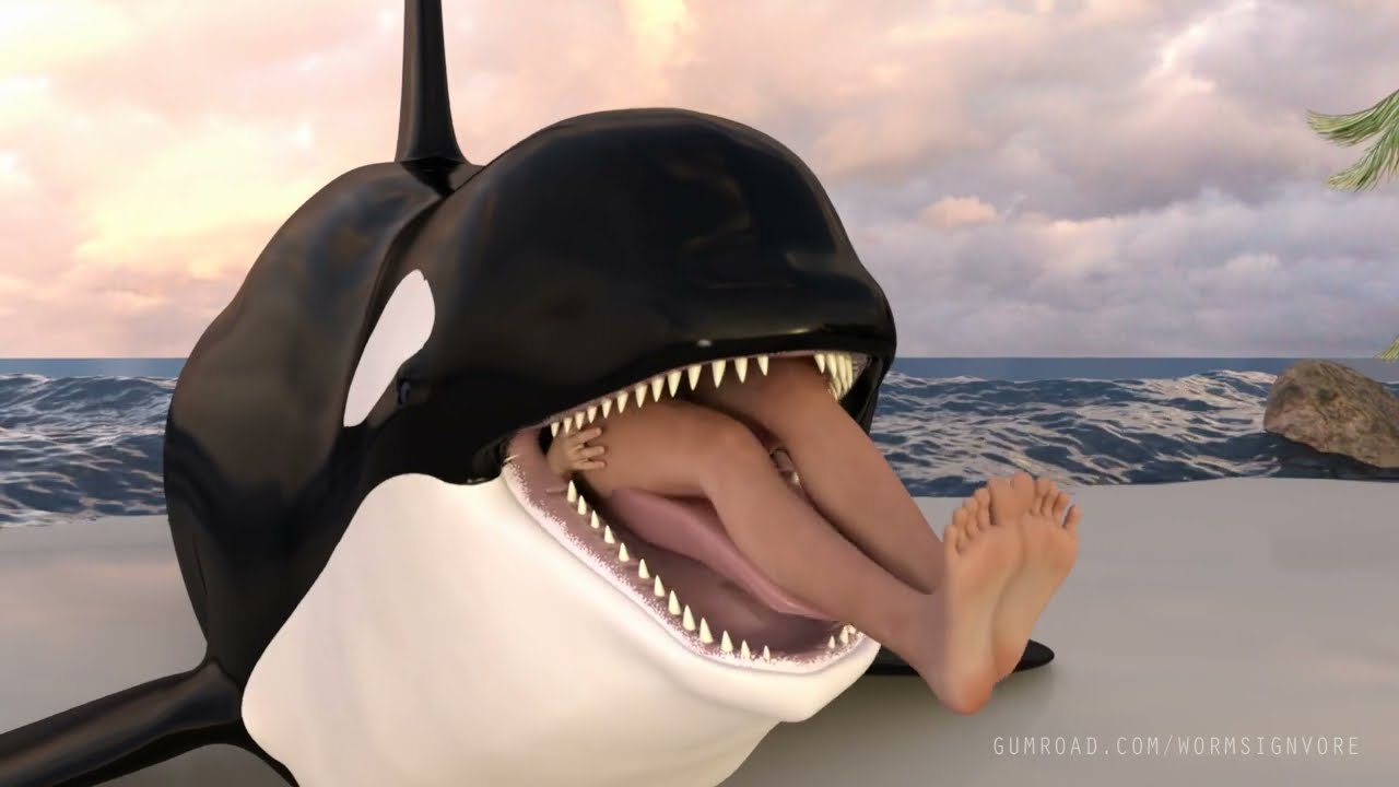 Orca vore