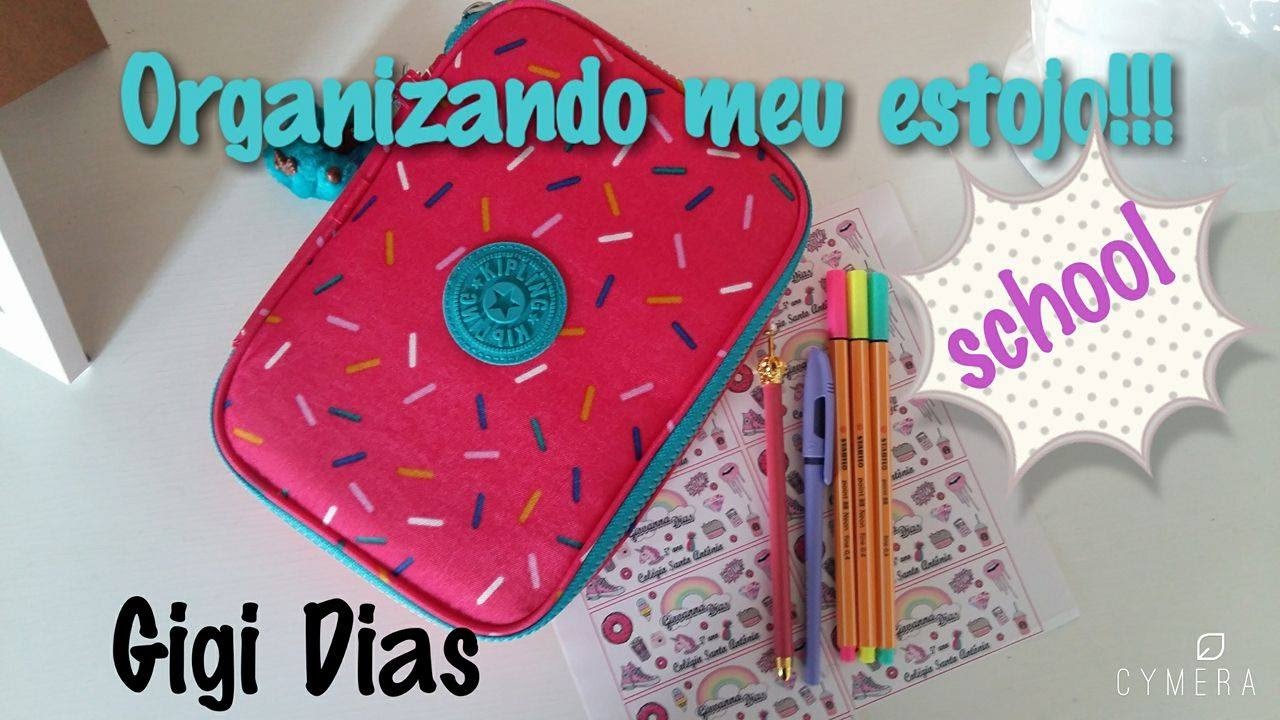 Organizando meu estojo!!!♡ | Gigi Dias