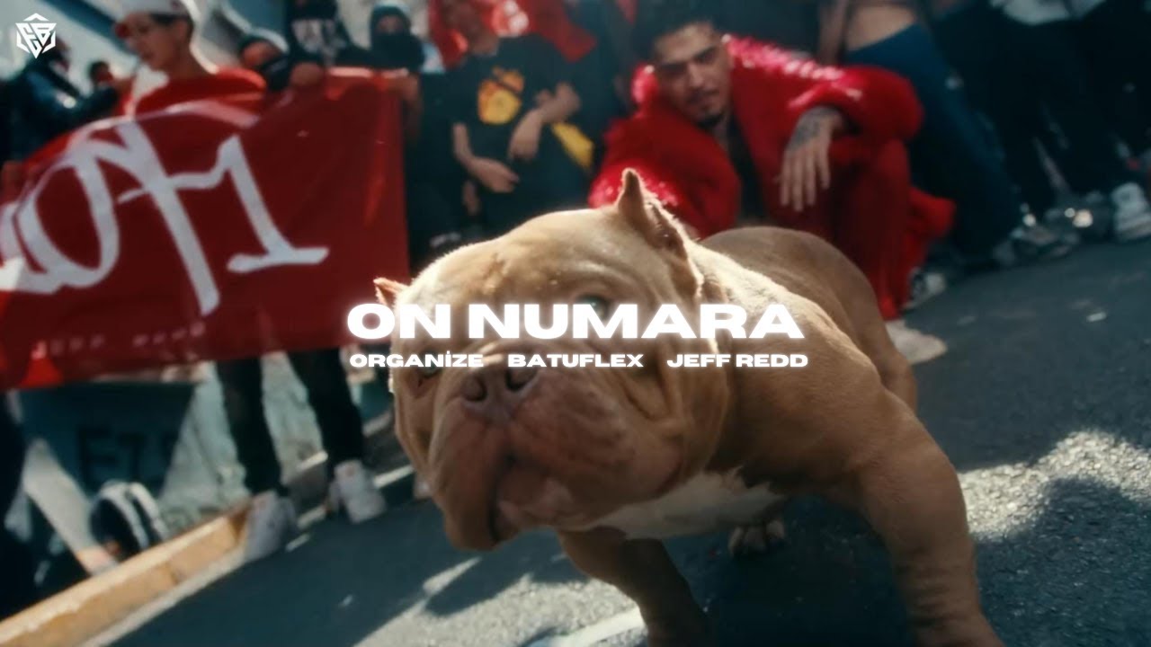 Organize X Batuflex X Jeff Redd - 
