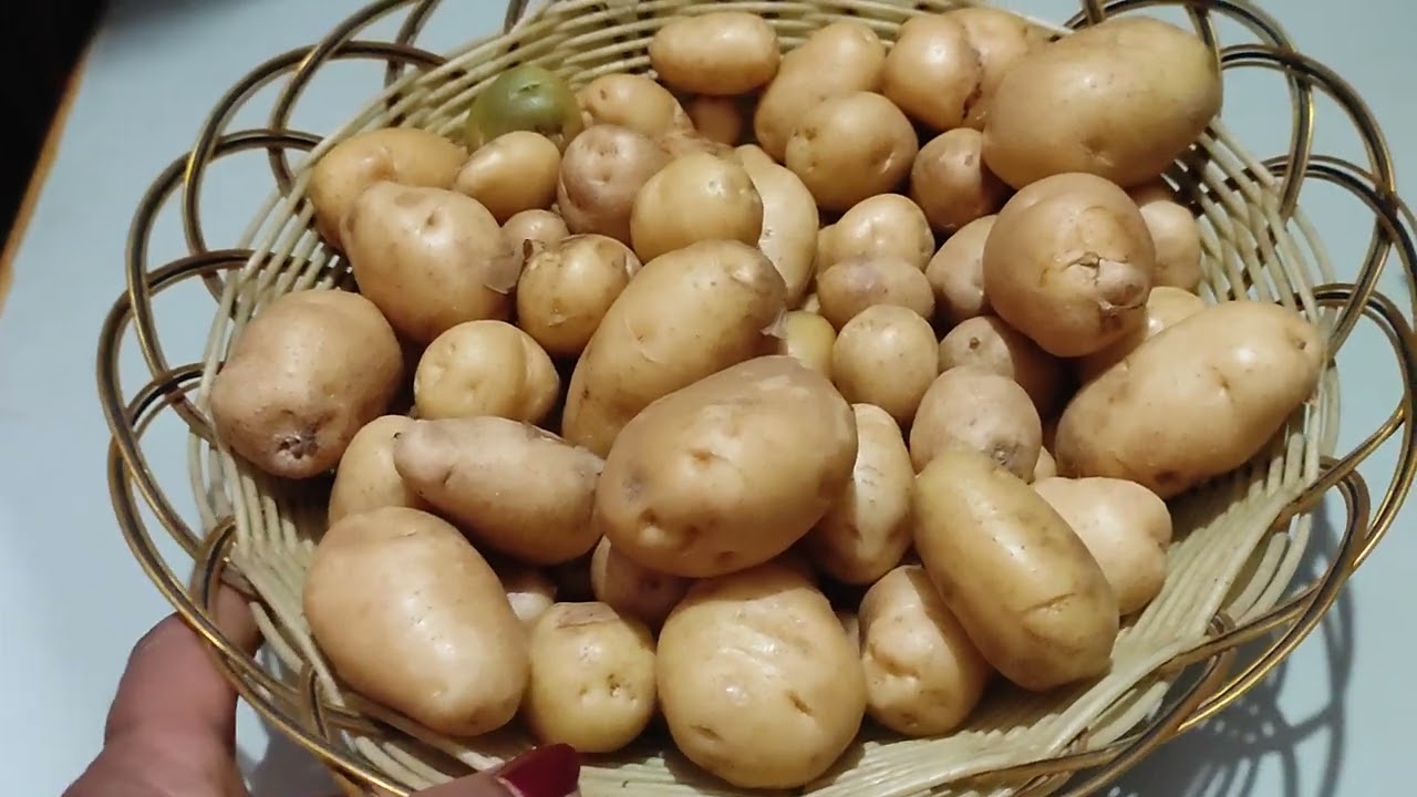 Orgenik potato part 2