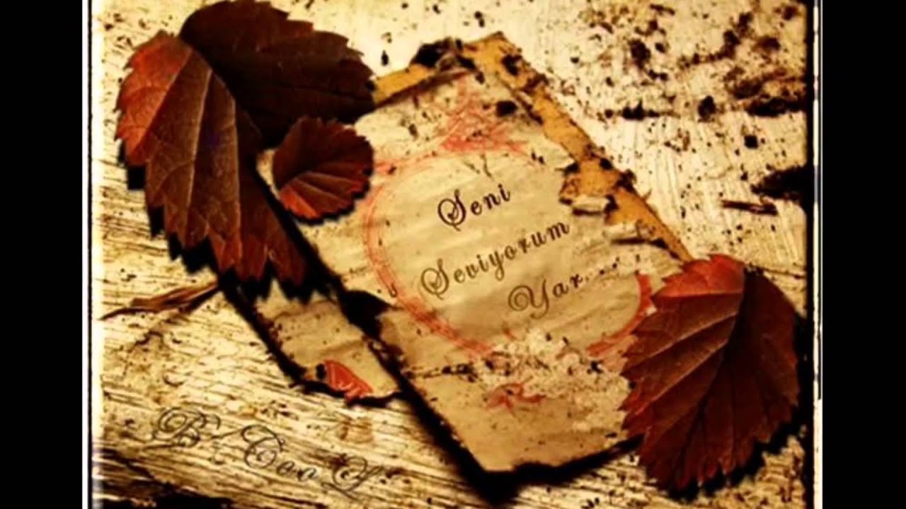 ORHAN VELİ ANLATAMIYORUM fon.wmv