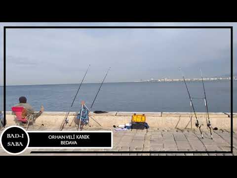 ORHAN VELİ KANIK - BEDAVA