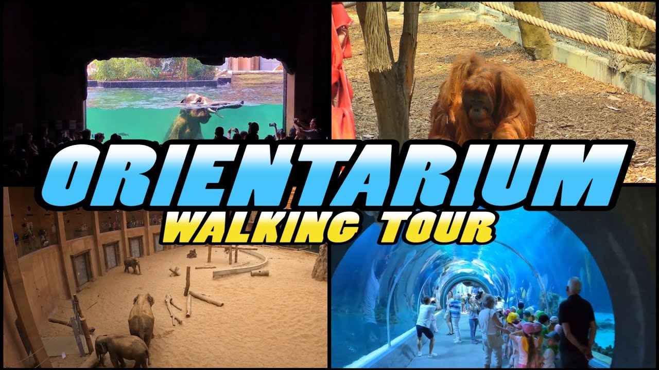 ORIENTARIUM Zoo Łódź walking tour - Poland (4k)