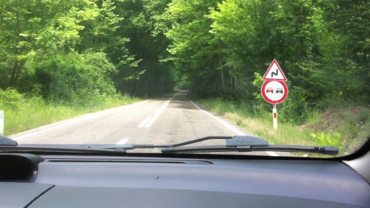 ORMAN YOLU ARABA SNAP