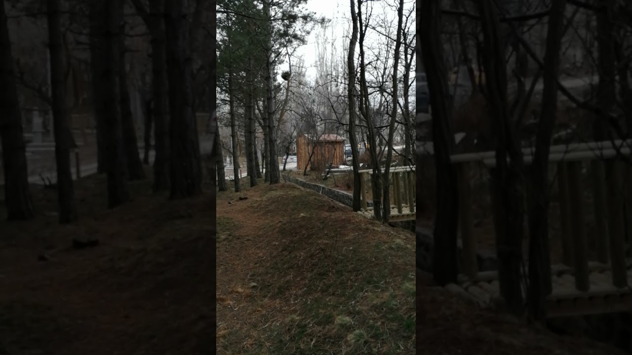 Orman yürüyüş snap