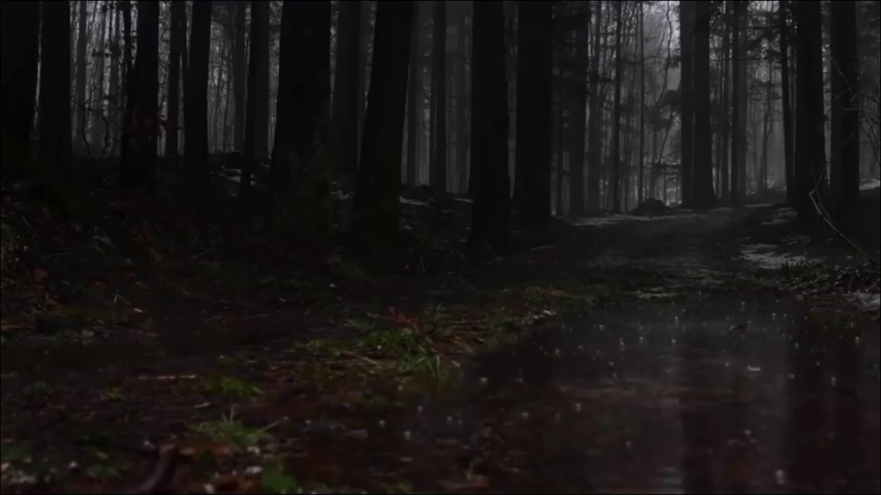 ORMANDA GÖKGÜRÜLTÜLÜ YAĞMUR - thunder forest rain sound (uyku, rahatlama, huzur )