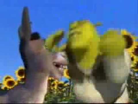 çorumlu shrek şakir !!