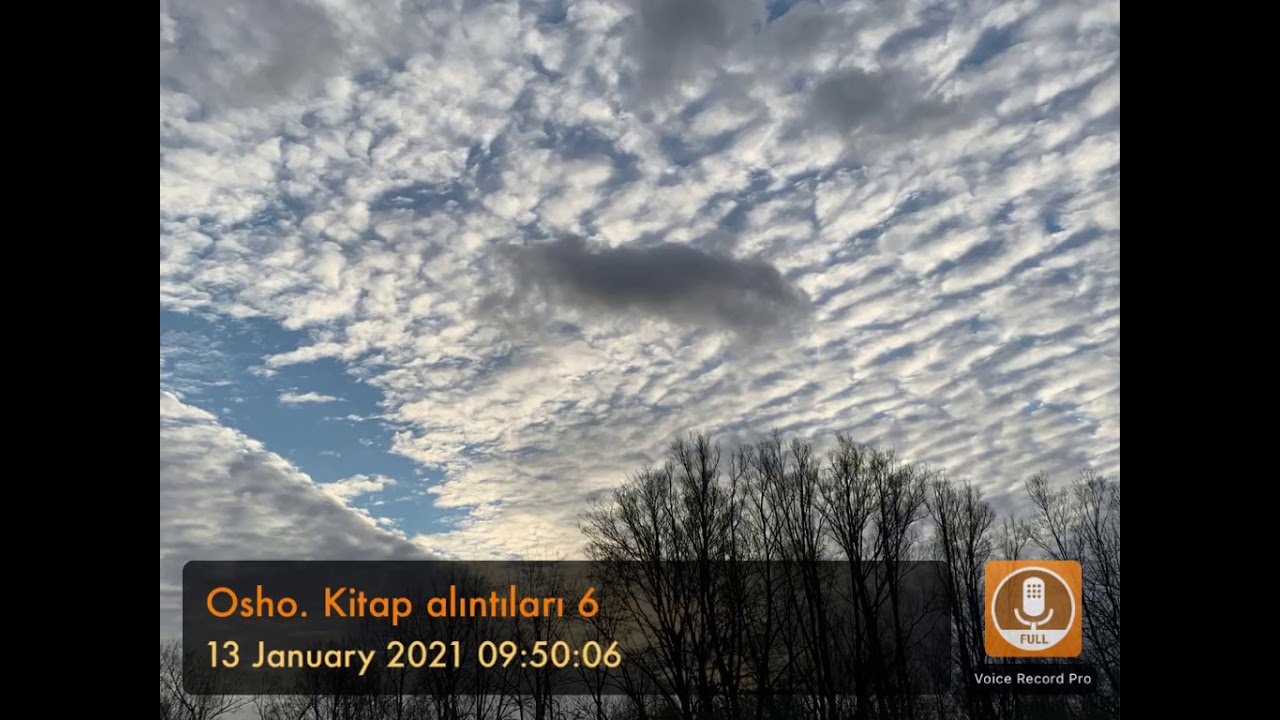Osho. Kitap alıntıları 6