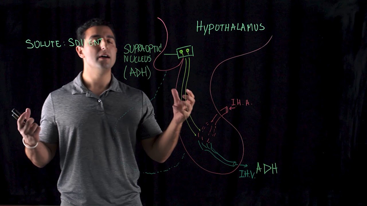 Osmoreceptors