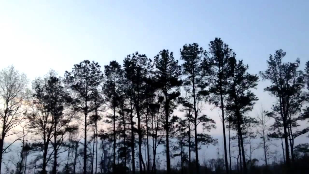 Our trip to Disney 2012 - part 1
