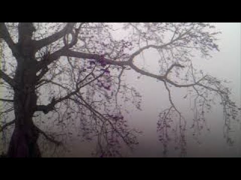 Our Winter Days | Original Soundtrack | Kanika S