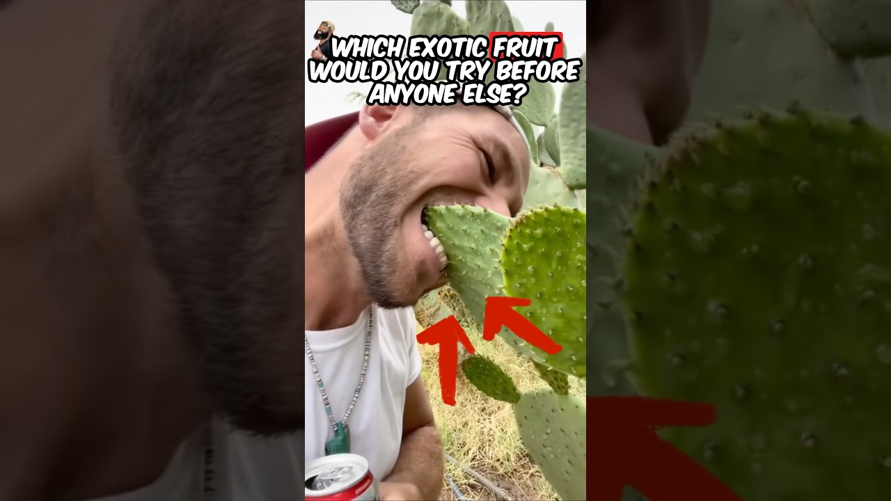 Out of These Rare Fruits, Which One Would You Bite Into First? 🥭