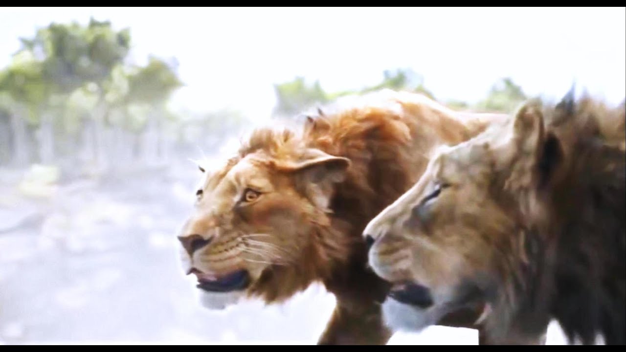 Outsiders Hunting Mufasa and Taka Scene || Mufasa-The Lion King