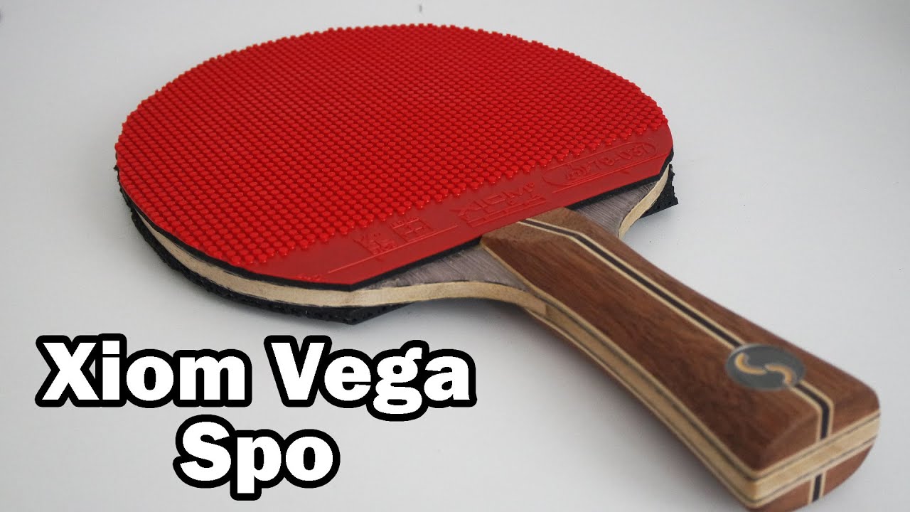 OYUN BOZAN LASTİK KISA TIRTIK l XİOM VEGA SPO
