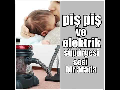 Pış Pış Ve Elektrikli Süpürge Sesi