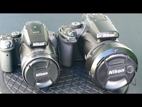 P900 to the P1000. Worth it?