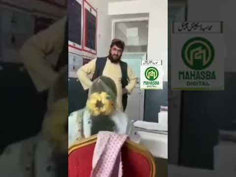 Pa Hospital Ke Doctor Sa Ghalta Video Jora ka | Pashto New Local Video 2023