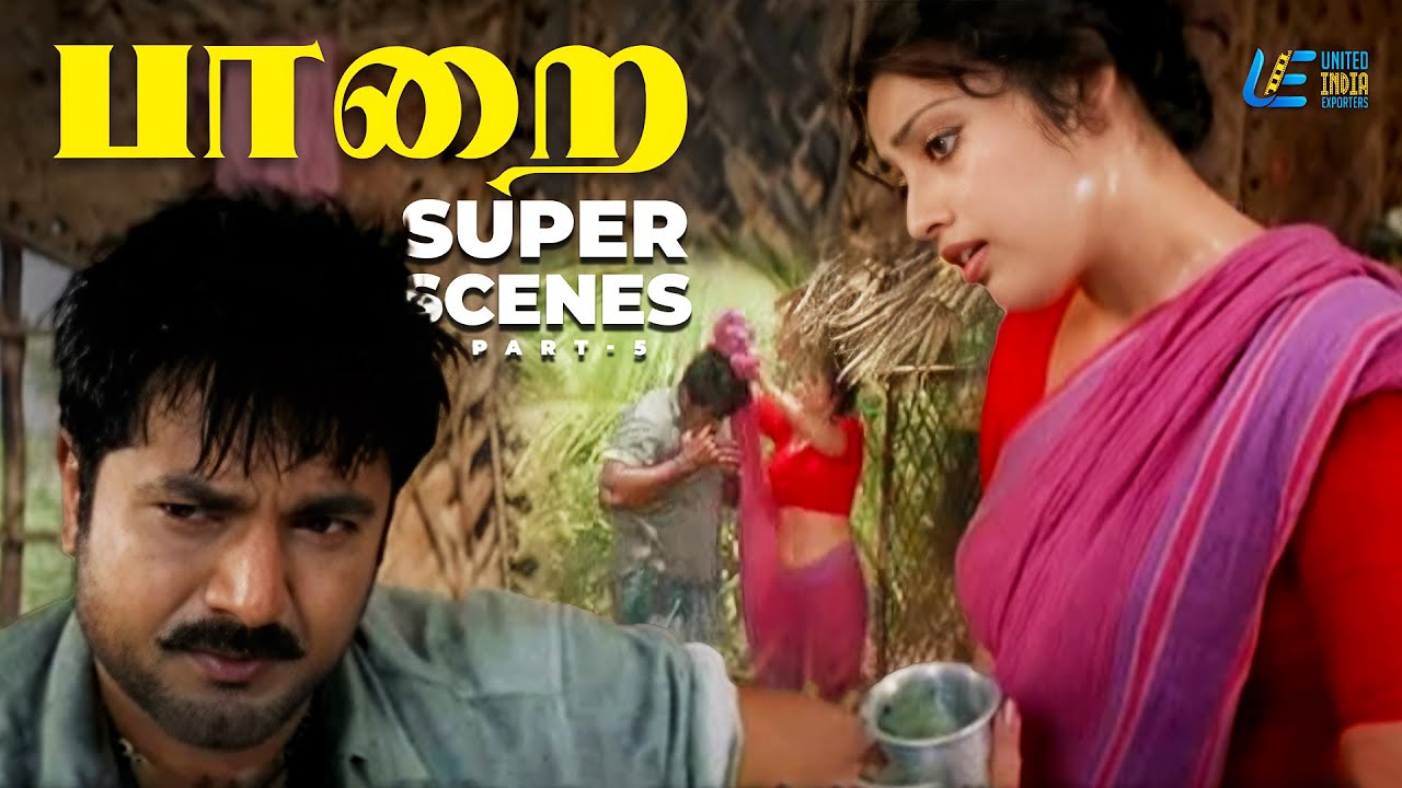 Paarai Super Scenes  Part - 5 | R. Sarathkumar | Jayaram | Meena | Ramya Krishnan