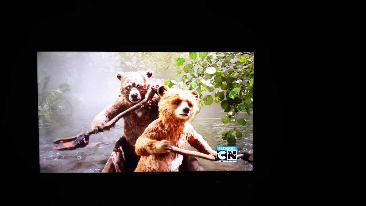 Paddington on Cartoon Network 12/12/20