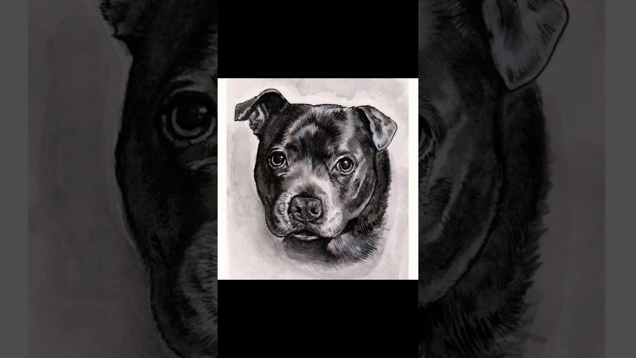 painting Rosie the Staffordshire bull terrier. #watercolourpainting #dog #art #paintingstyle #staffy