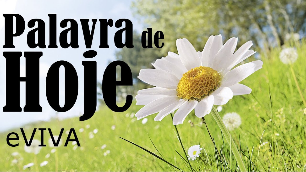 PALAVRA DO DIA 5 DE FEVEREIRO 2022 MOTIVAÇÃO E DIREÇÃO A MENSAGEM DE BOM DIA E ORAÇÃO DA MANHÃ eVIVA