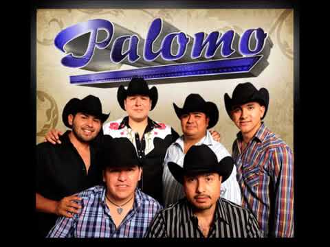 Palomo - No me conoces aun