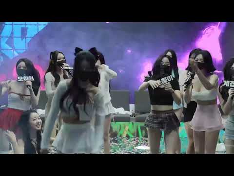 PandaClass 20240910 CUT | KBJ Korean Live #jinricp #pandaclass #kbj #koreanlive #fancam