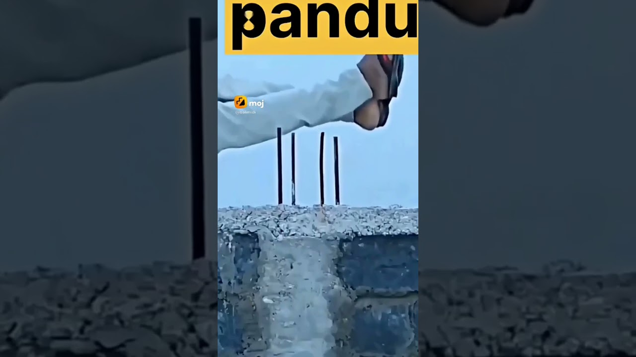 pandu funny video