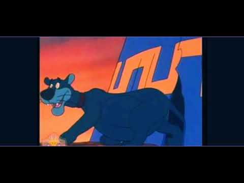 Panther vore.