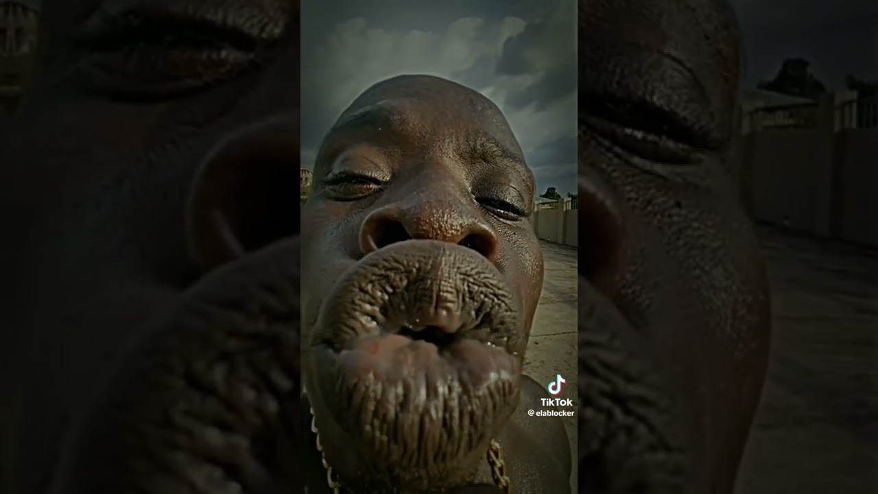 pany video for TikTok
