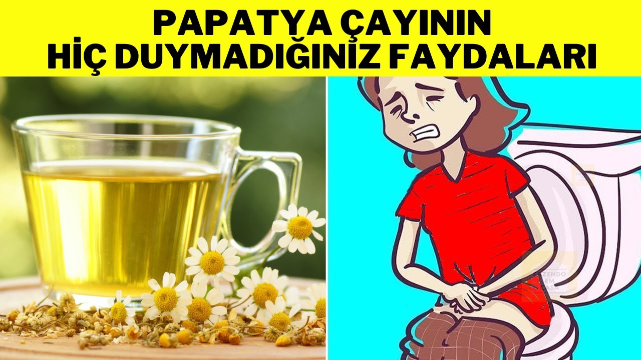PAPATYA ÇAYININ BİLMEDİĞİNİZ 7 FAYDASI -  (Papatya Çayı Nasıl Yapılır? - Papatya Çayının Faydaları)