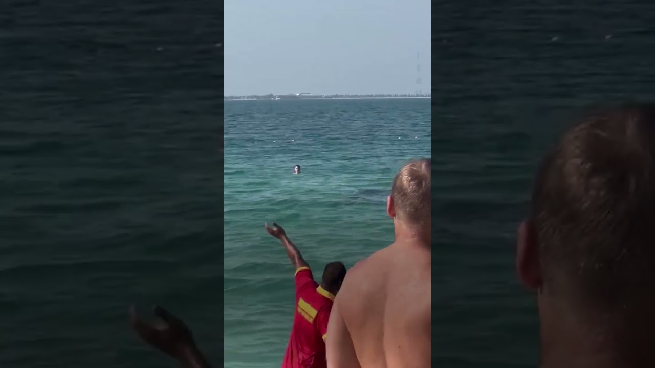 ¡Para esta chica ya es demasiado tarde para huir del tiburón! 🦈🏊🏼‍♀️😨 #shorts