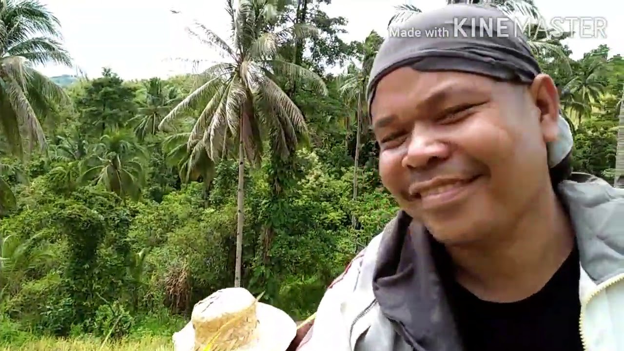 Paraiso sa Gubat