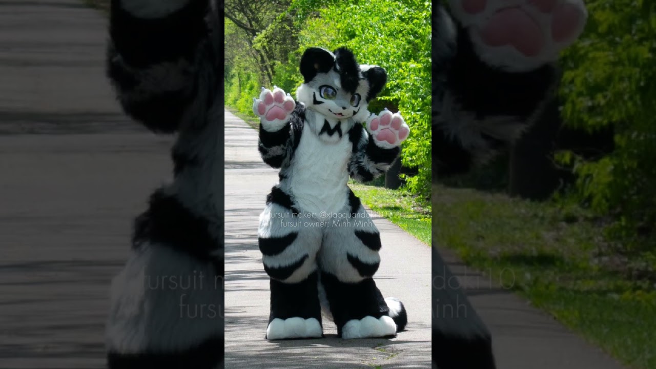 Part 1 of 3 First outing in public (April 28th)! #fursuit #furry #fursuiting